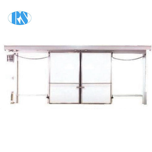 Electric Double Swing Door